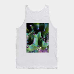 Abstract view from a cactus part Tank Top